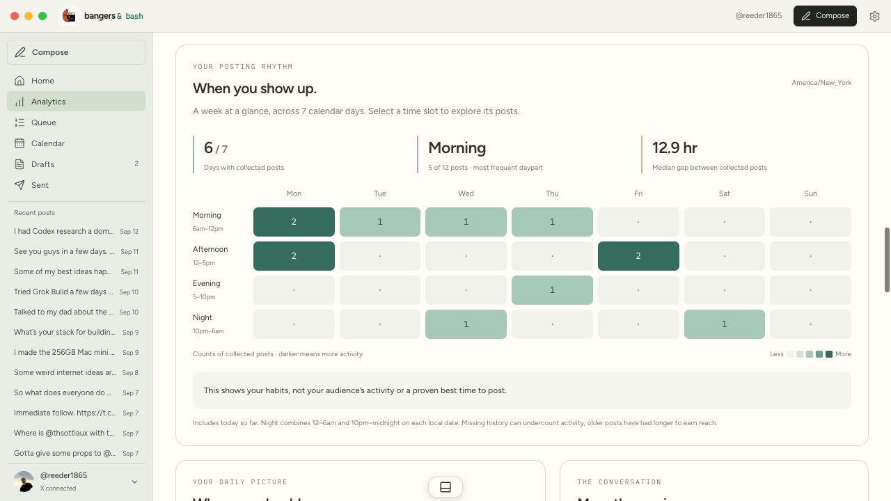 Founder pilot posting rhythm grid with observed posts by day and daypart.